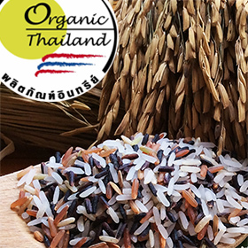 ข้าวไตรจัสมิน 1 กก.