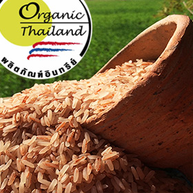 มะลิโกเมนสุรินทร์(ซ้อมมือ) 1 กก.